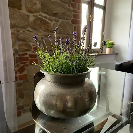 Przy Ratuszu Lejlighed *