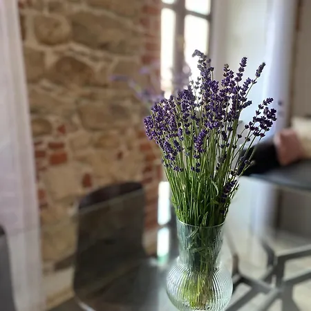 Apartment Przy Ratuszu Klodzko