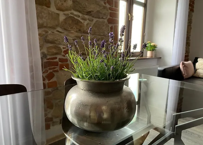 Przy Ratuszu Apartment *