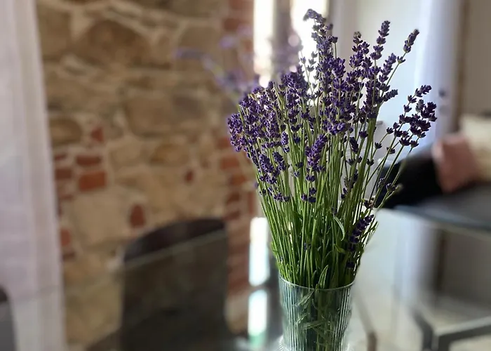 Apartment Przy Ratuszu Klodzko